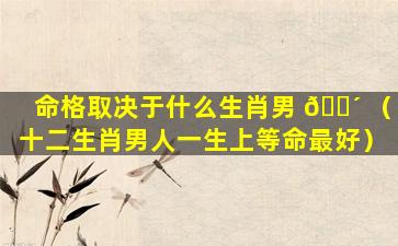 命格取决于什么生肖男 🐴 （十二生肖男人一生上等命最好）
